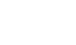 Evos